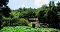 長沙出發(fā)到花明樓、韶山、張家界國家森林公園、天門仙山國家森林公園四日游